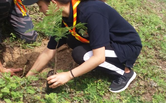 Plantation