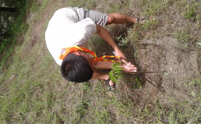 plantation on june 2nd 