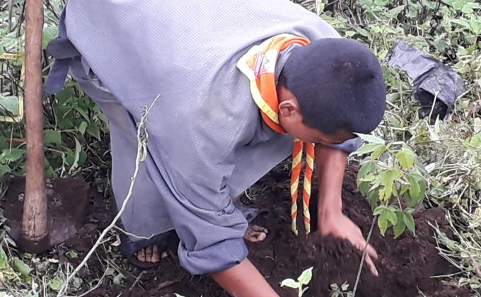 # Planting Sapling on Social Forestry day on 2nd june