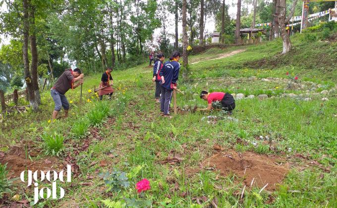 planting sapling 