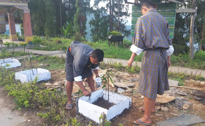 World enviroment day 5 june