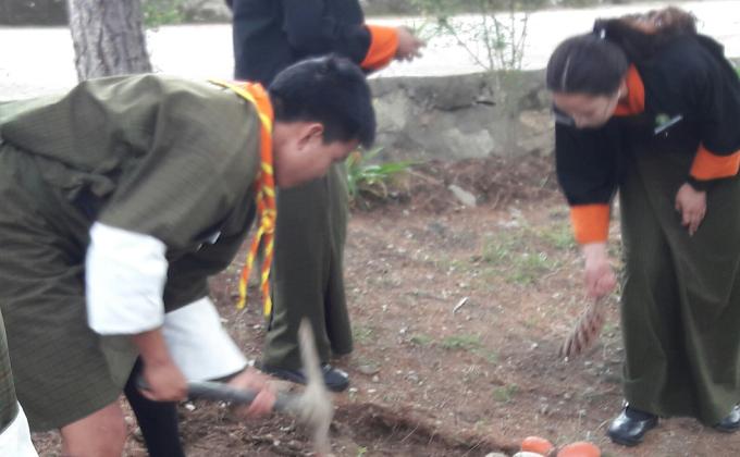 Renovation of scout Den