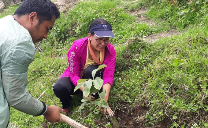Peace through planting trees