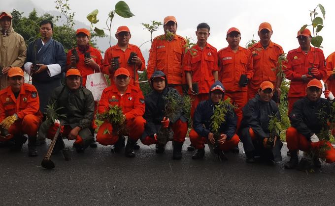 Increasing forest coverage 