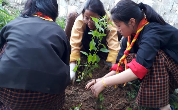 Planting to save environment 