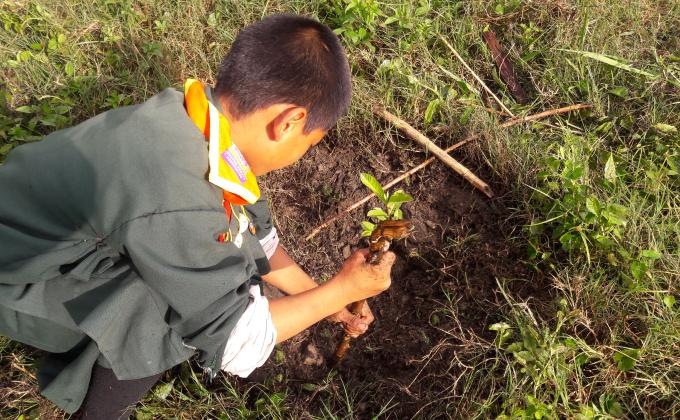 Nachung scout plant tree and adopt tree.