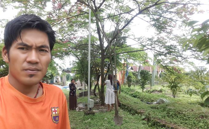 Making tree beds better with concrete wall