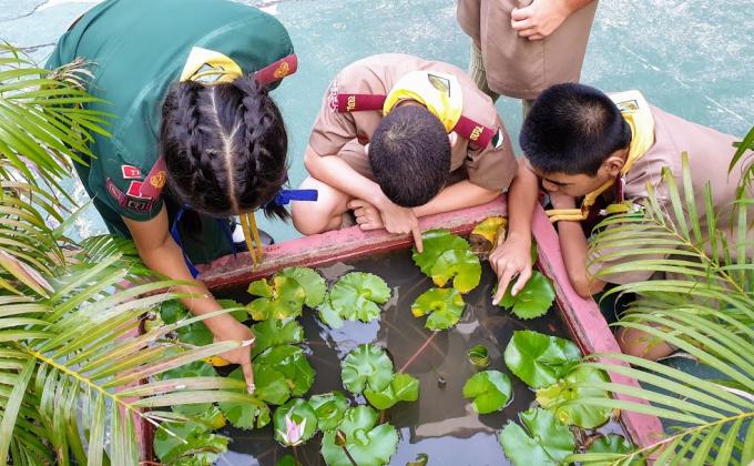 Messengers of Peace Scouts Fight Dengue Project