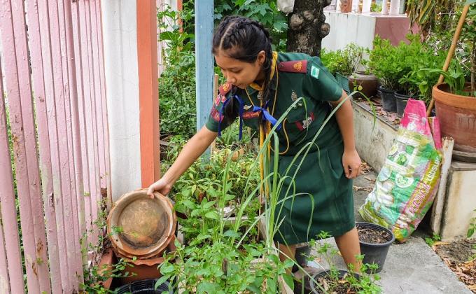 โครงการลูกเสือต้านภัยไข้เลือดออก