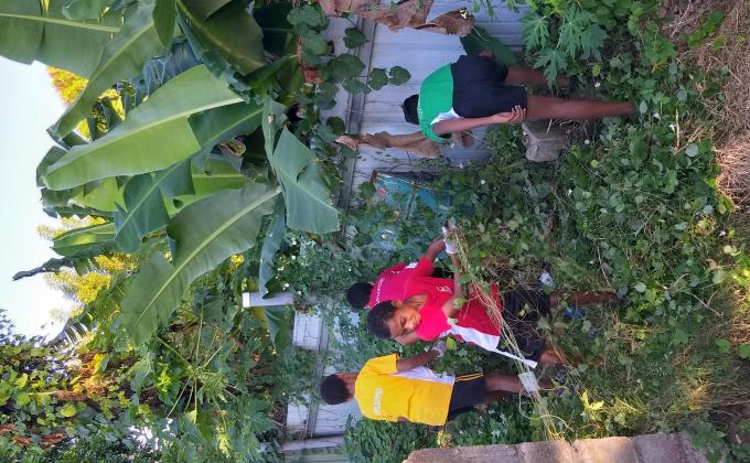 Clean - up : Scouts  project 