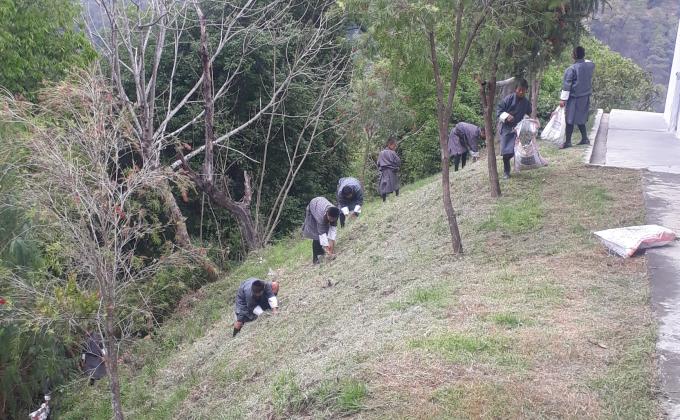 cleaning campaign