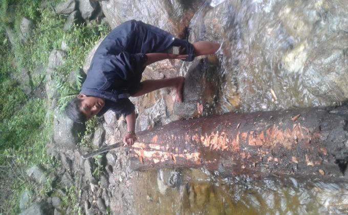 contribute small bridge to a community 