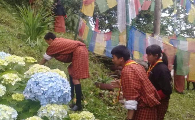 Scouts to observe 'Social Forestry Day'