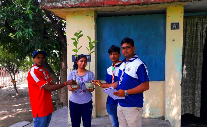 Distribution of tree