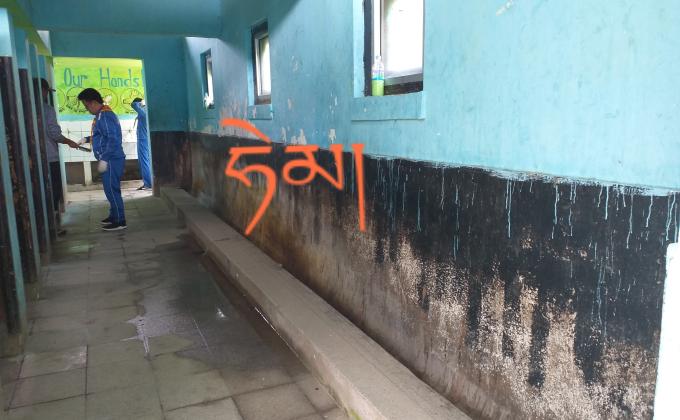 Painting and washing toilets 