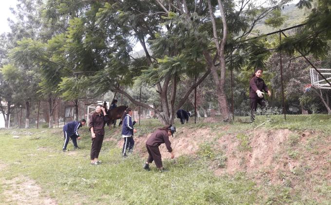 scout garden 