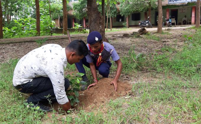Tree on global warming gone