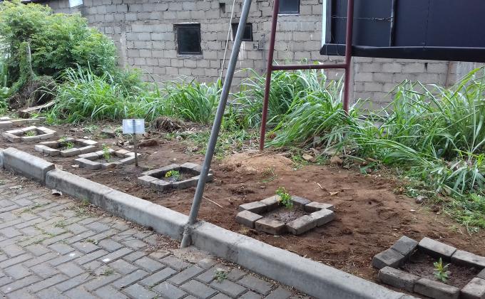 community project