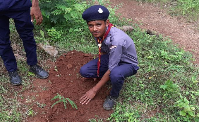 Tree on Global warming gone-1