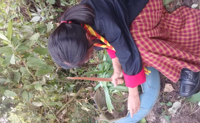 Beautifying our surrounding 