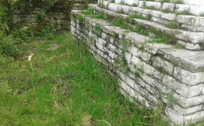 Clearing bushes and maintenence of flower garden at lagay