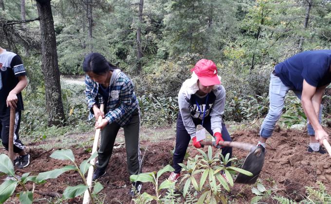 making trail