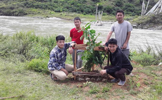 Adopted trees 