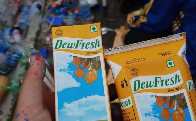 Scout Den Modification