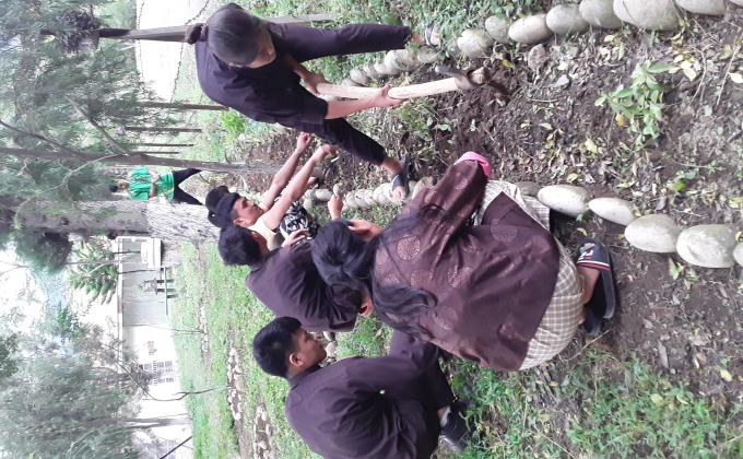 Beautifying our environments 