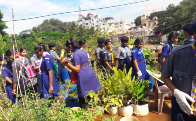 Swach Bharath Abhiyan And Planting Trees 