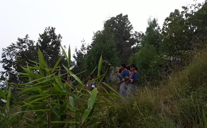 scouts modified their scout park