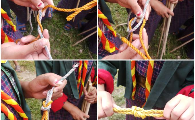 knots