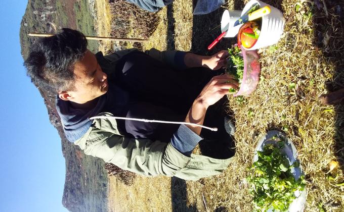 Camping towards phajoding