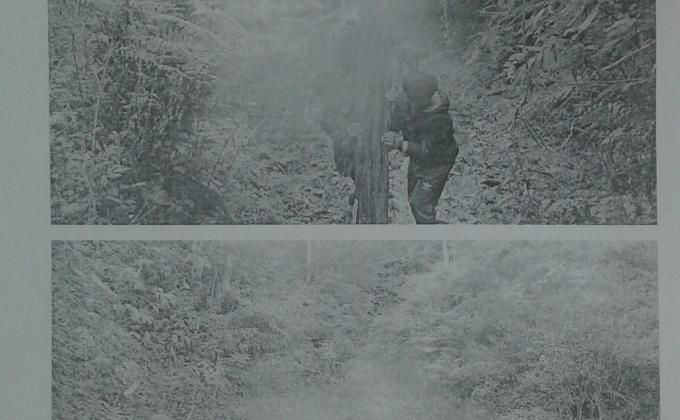 Stream cleaning with KFMU ( Korila Forest Management Unit)