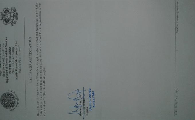 Road monitoring and plants regeneration survey.