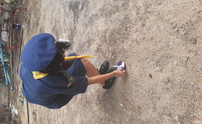 จิตอาสาเก็บขยะในวิทลัย