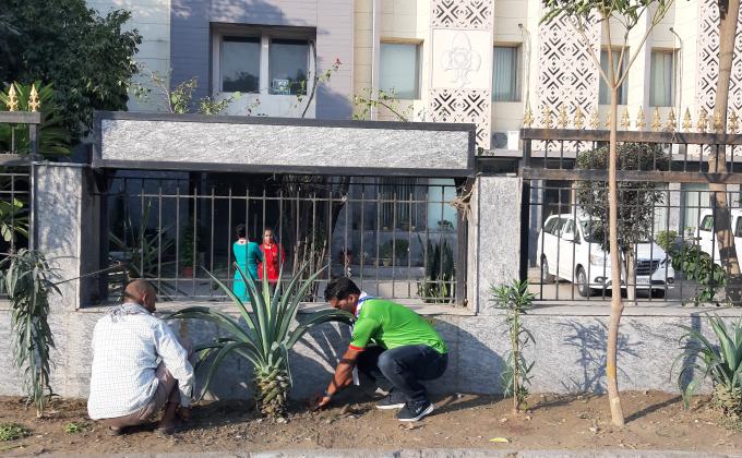 Tree on global warming is gone 3