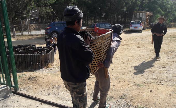 Citizen safe from rabies and scabies