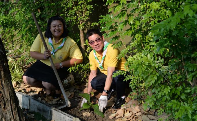 โปรเจคปลูกต้นไม้ ถวายพ่อหลวง ร.9