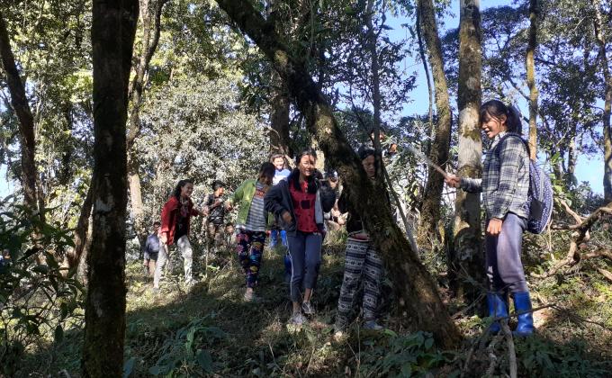 Clearing the Unwanted plants in Community Forest 