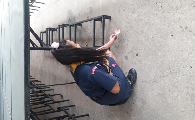 เก้บขยะ