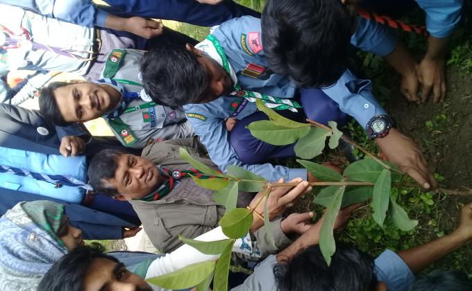 বৃক্ষ রোপন কর্মসূচি ২০২০ 