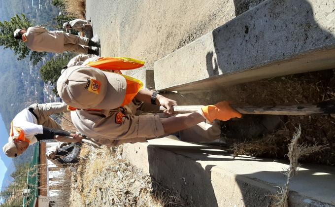 Cleaning drainage