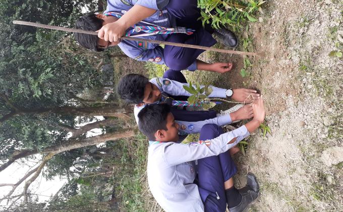 Tree Planting 
