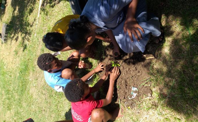 Making the World Green by Tree Planting 