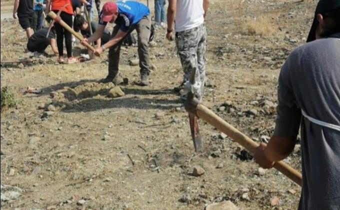 reforestacion parque metropolitano
