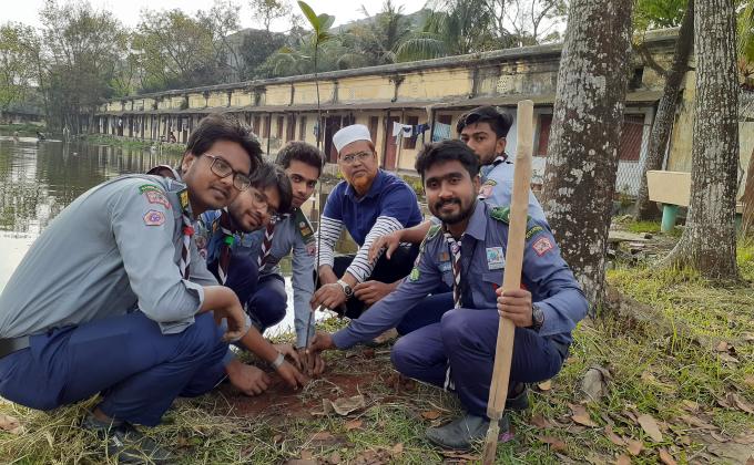 Tree plantation 