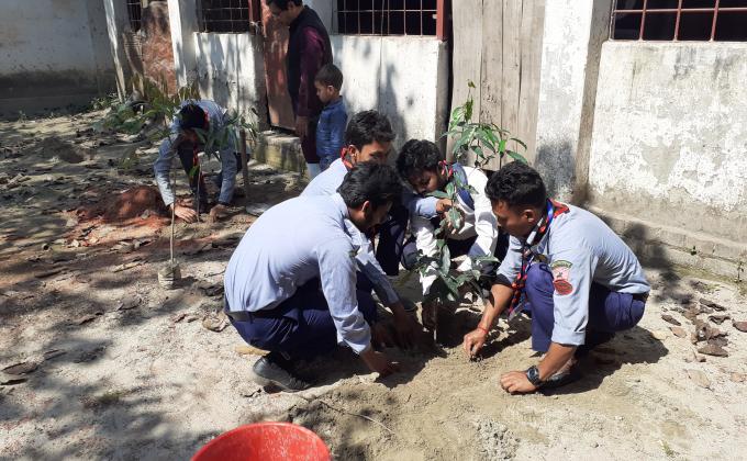 বৃক্ষ রোপন কর্মসূচি  