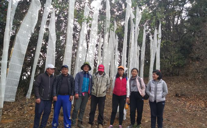 Third round of eracting prayer flags