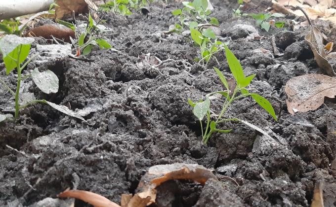 SANKALP TO CREATE A BETTER TOMORROW